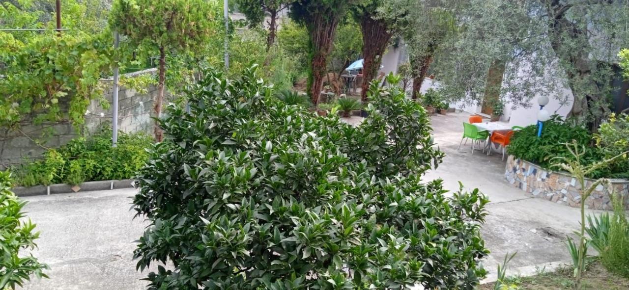 Green Oasis Holiday Home Vlorë Buitenkant foto