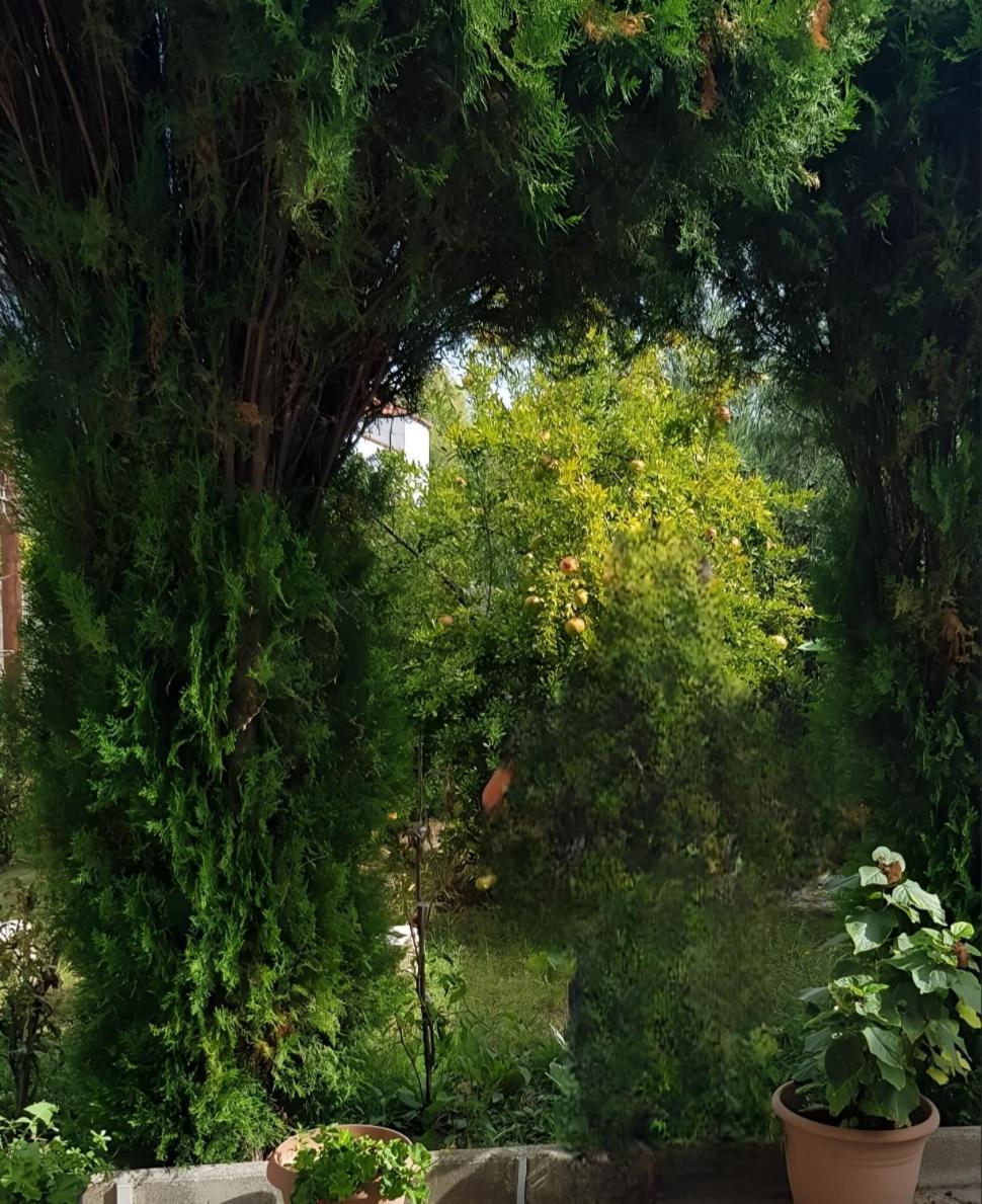 Green Oasis Holiday Home Vlorë Buitenkant foto